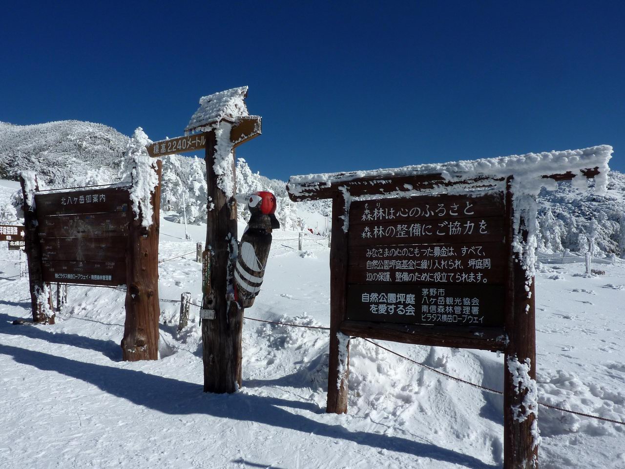 雪の豊富な山をめざして 北横岳 北八ヶ岳 山好き的日々 京都北山