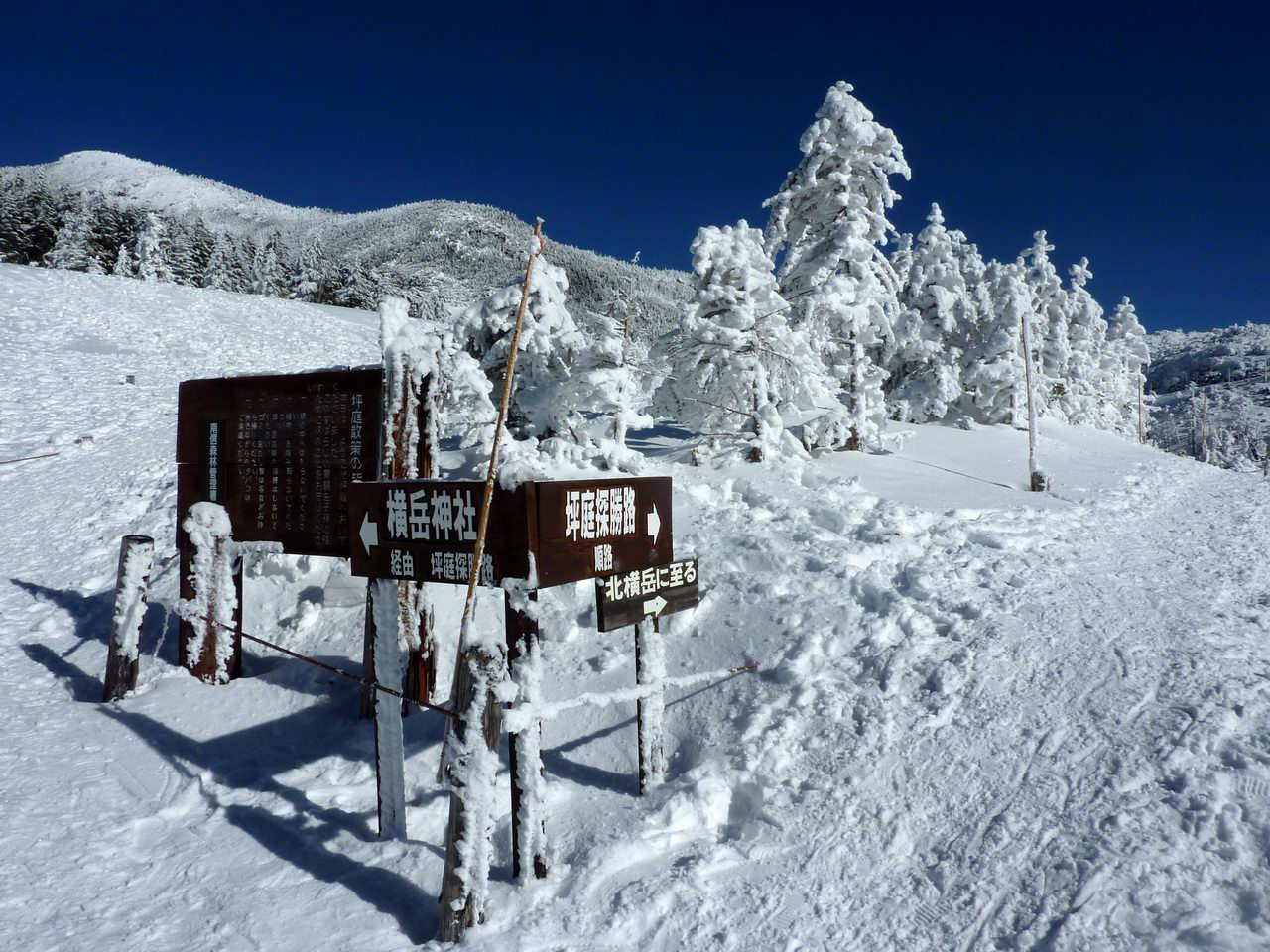 雪の豊富な山をめざして 北横岳 北八ヶ岳 山好き的日々 京都北山