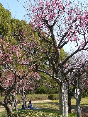 a0123003_1957243.jpg