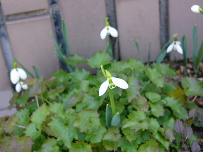 a0123003_20313344.jpg