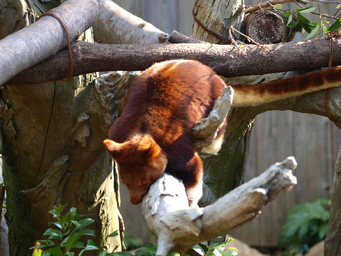 a0164204_1322695.jpg