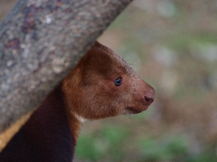a0164204_223277.jpg