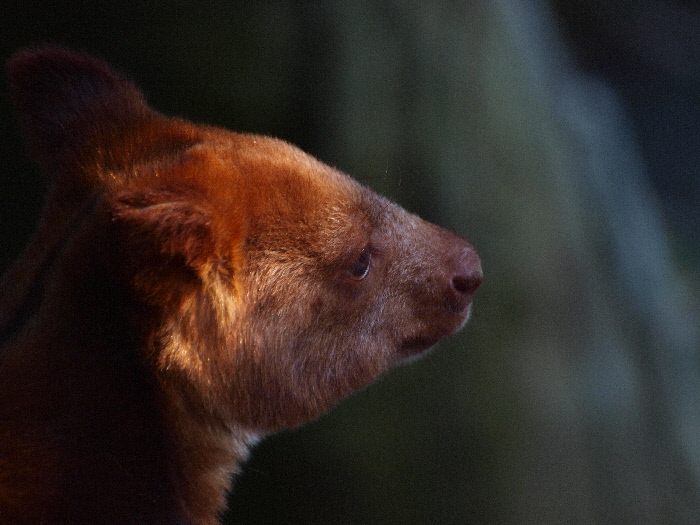 a0164204_263449.jpg