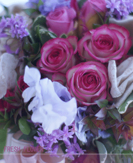b0111306_21153035.gif