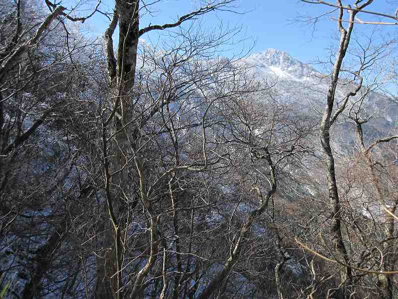 愛媛県　大永山トンネルから　ちち山・笹ヶ峰　　眺めが非常にいいです　_b0124306_16503096.jpg