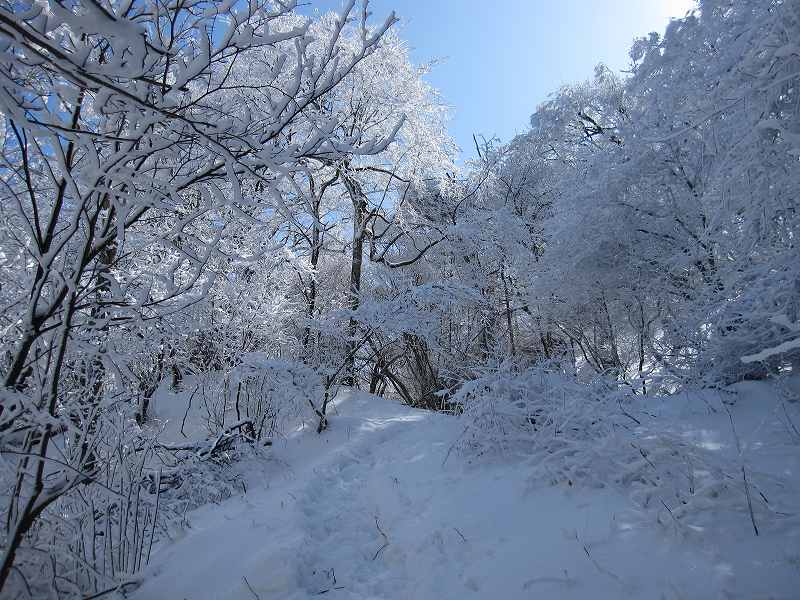 愛媛県　大永山トンネルから　ちち山・笹ヶ峰　　眺めが非常にいいです　_b0124306_16524559.jpg