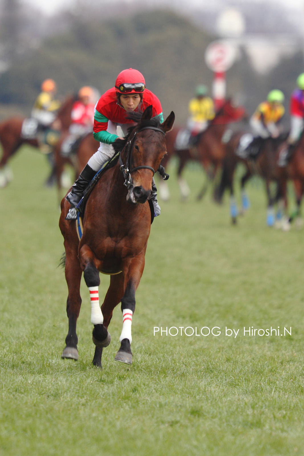 フェブラリーステークス 東京競馬場 Photolog By Hiroshi N