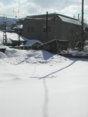 c0170208_759396.jpg