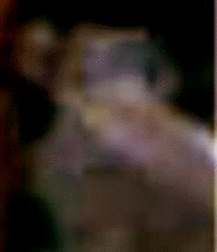 e0103408_13274431.gif