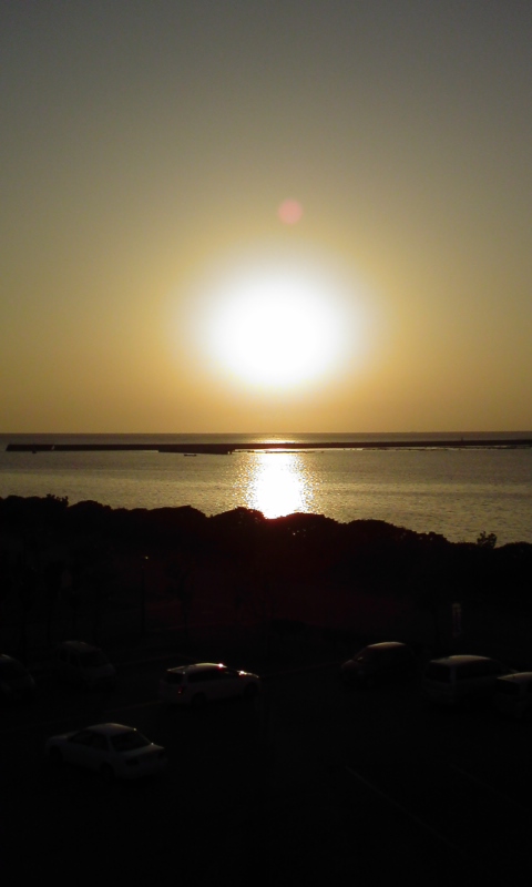 a0074110_1873780.jpg