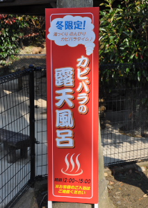 f0218012_18162289.jpg