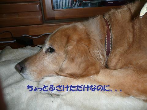 f0114128_20593848.jpg