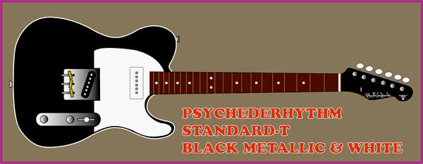 「BLACK METALLIC & WHITEのSTD-T」を製作します!!!!!_e0053731_20415633.jpg