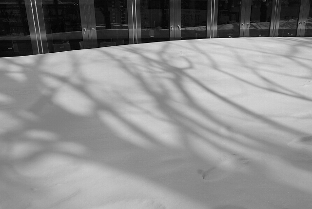 札幌散歩_f0050534_755176.jpg