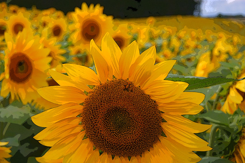 2月23日“2009年の花々”_d0069235_1842245.jpg