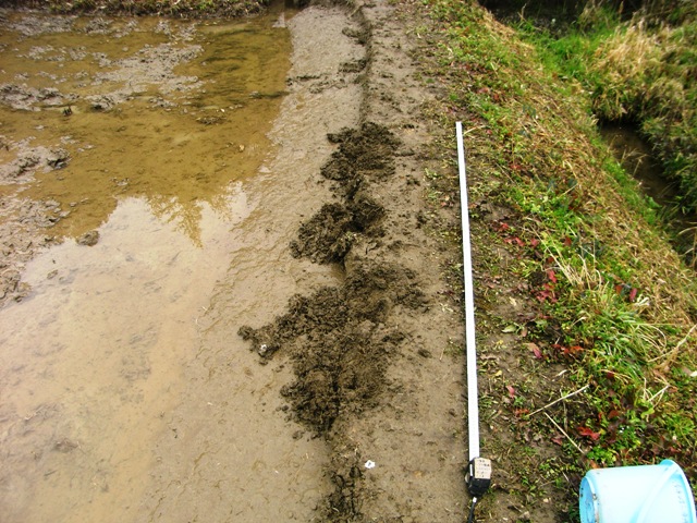 a0123836_17445710.jpg