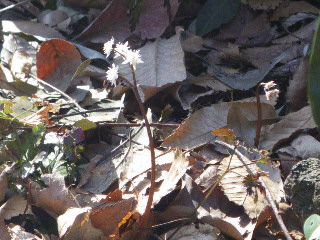 e0069647_20231821.jpg