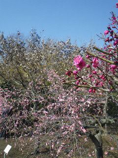 e0069647_20261182.jpg