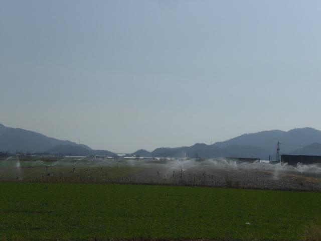 b0152548_15344880.jpg
