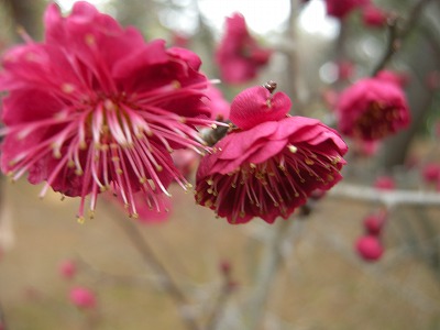 2010/2/14  京都自転車旅_e0162959_052563.jpg