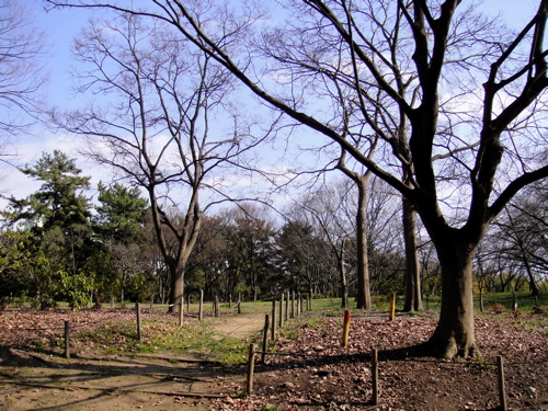 e0125762_12317.jpg