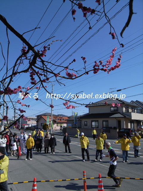 第１９回上里町乾武マラソン大会　ほのぼのと走る_c0153764_18183378.jpg