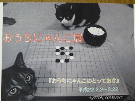 KITTEN COMPANYにて～昨日のつづき～_c0197164_21245832.jpg