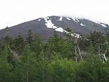 a0093965_2032363.jpg