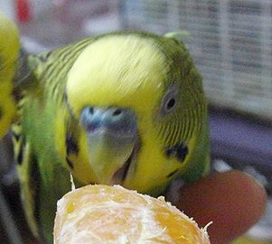 f0196665_00938.jpg