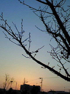 f0180166_236984.jpg