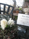 c0141268_21583246.jpg