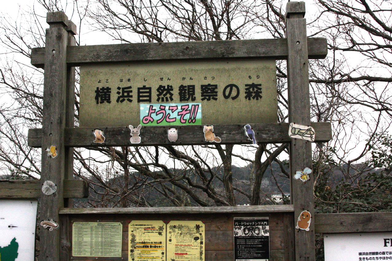★横浜自然観察の森に行ってきました（2010.2.17）_e0046474_18171568.jpg