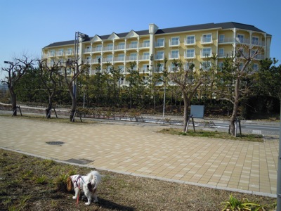 d0044986_2326535.jpg