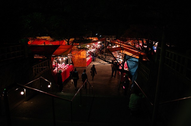 f0208490_12513.jpg