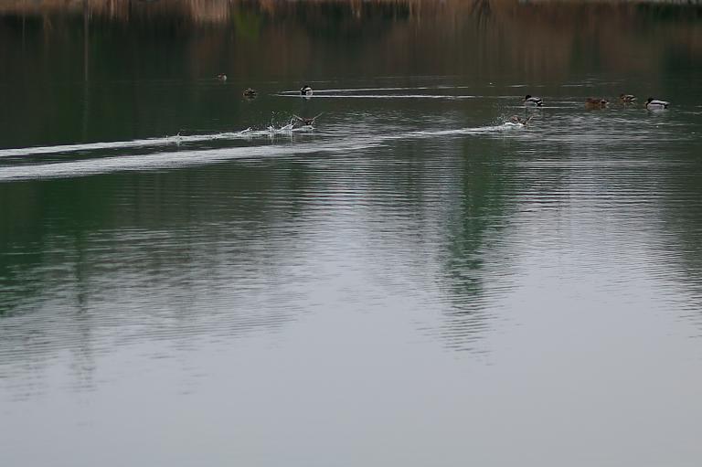 d0069495_2325359.jpg