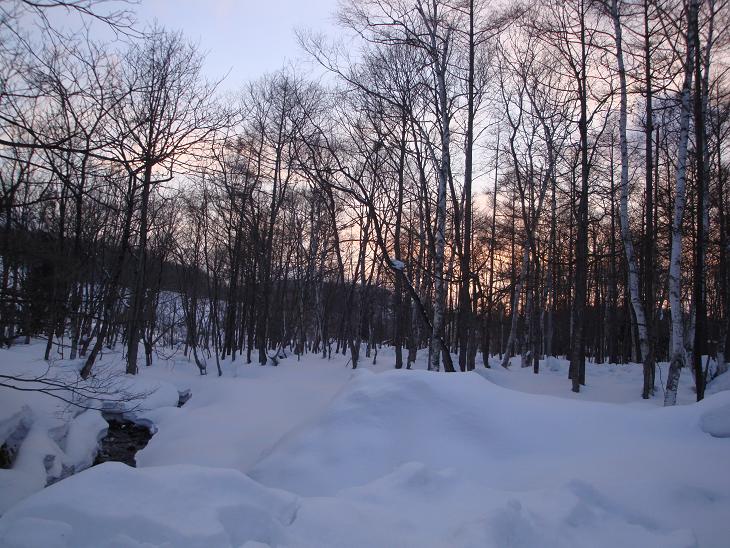 f0075595_21493995.jpg