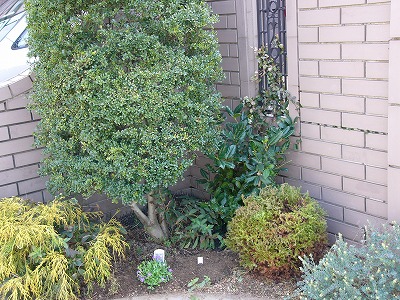 a0123003_18335065.jpg