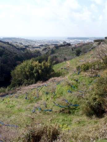 f0043911_17452047.jpg
