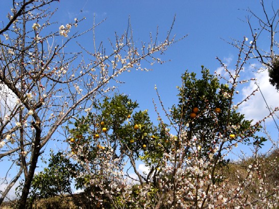 f0043911_17463136.jpg