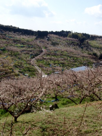 f0043911_17472282.jpg