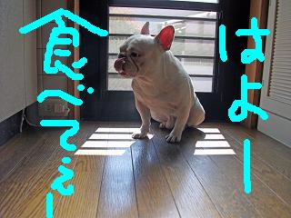 a0158613_18181839.jpg