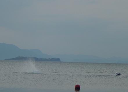 d0048215_1924279.jpg