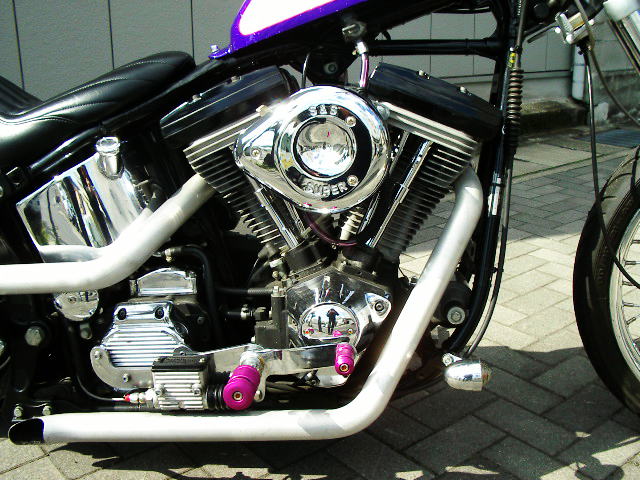 Purple Softail_b0160319_21344229.jpg