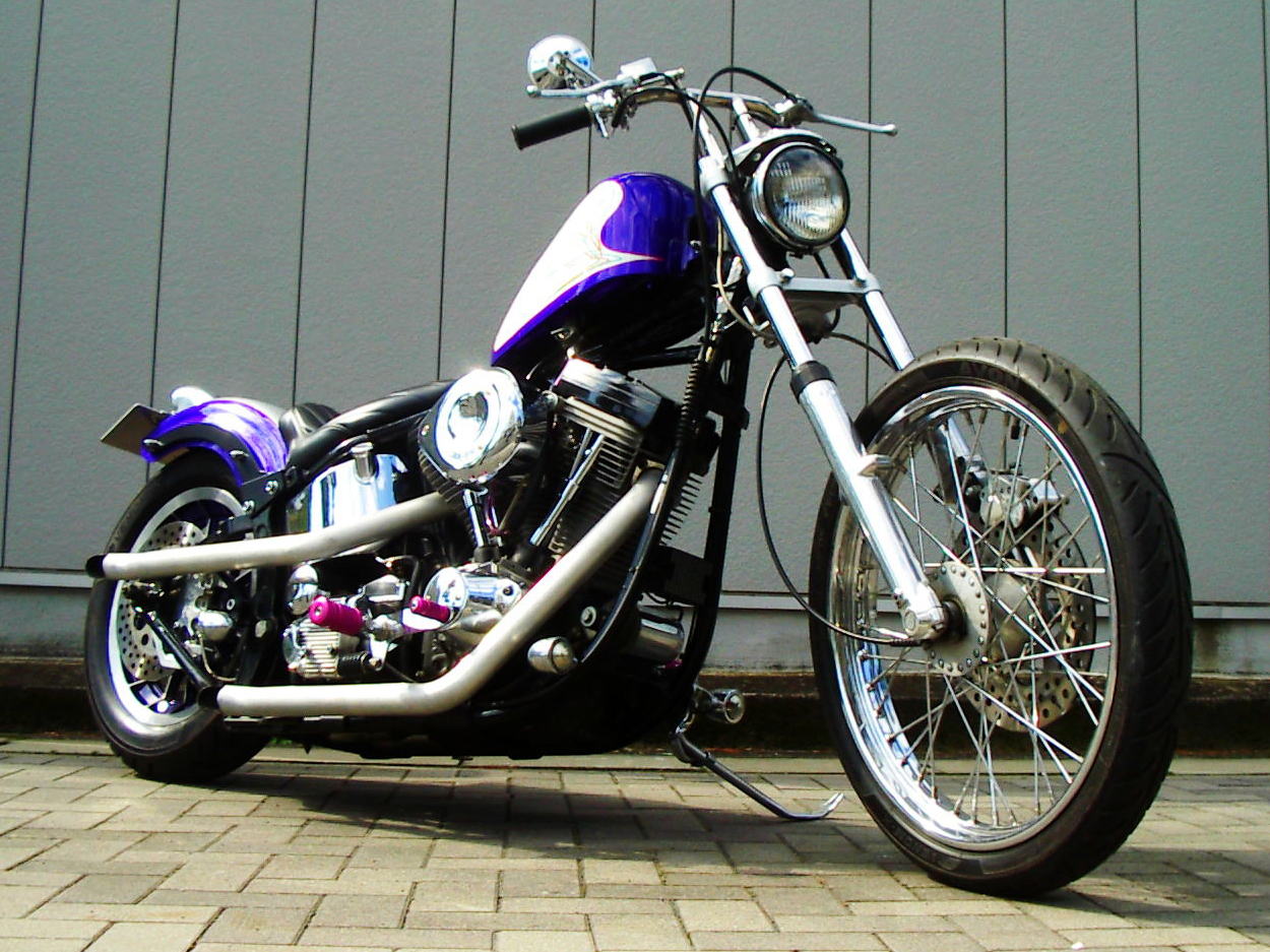 Purple Softail_b0160319_21432316.jpg