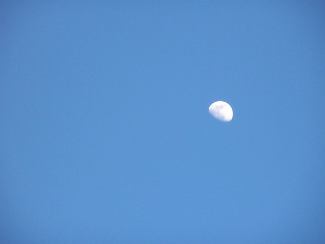 e0136620_18501785.jpg