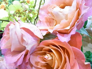 c0204725_2373511.jpg