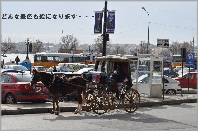 マルタ島で欲張りな一日☆_d0104926_3275957.jpg