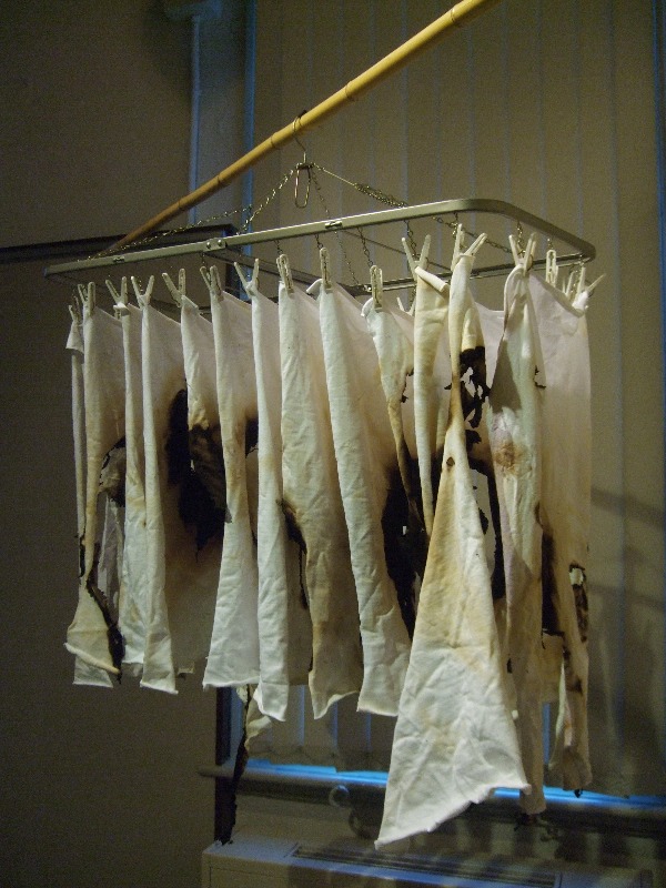 1208)　①資料館　「2009年度道教育大学岩見沢校　卒業展(5人の個展)」　終了・2月16日（火）～2月21日(日)_f0126829_13534589.jpg