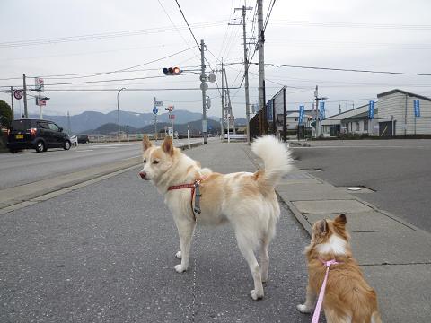 散歩道中あれこれ_b0138430_15475423.jpg