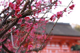 週中旅行 : 京 都_d0010432_18344074.jpg